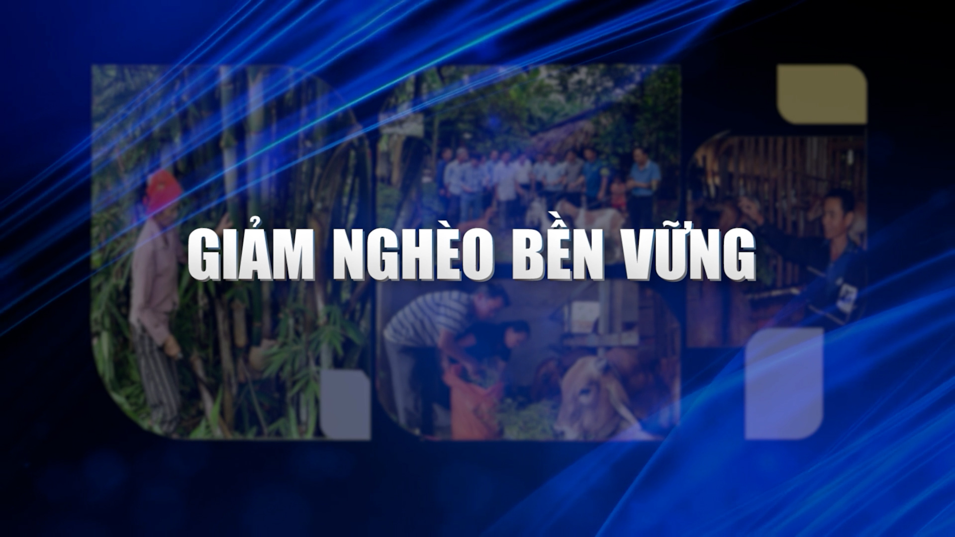 Giảm nghèo bền vững (16.08.2024)